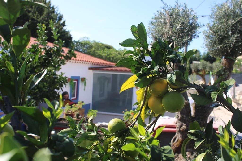Casa Manuel E Maria Villa Fatima Luaran gambar